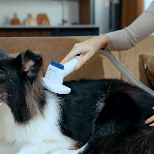 Oneisall Cozy C1 Haustierpflege-Staubsauger & Trockner Ersatz-Slicker-Bürste