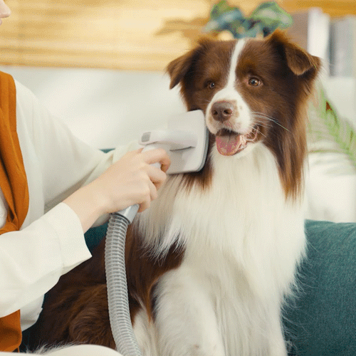 Oneisall LM2 Tierpflege-Staubsauger – Ersatzbürste für Fellpflege