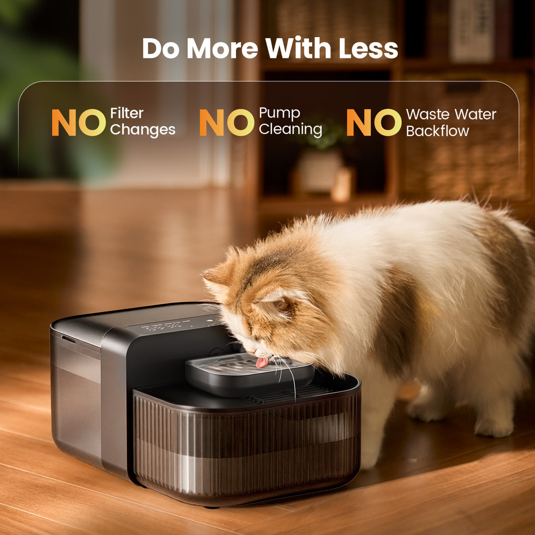 Oneisall 3,5L FreshFill Filterloser Katzen-Trinkbrunnen mit Frischwassersystem