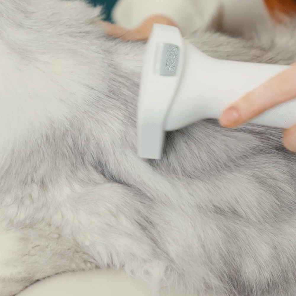 Oneisall LM5 4-in-1 Tierhaarschneider mit Staubsauger