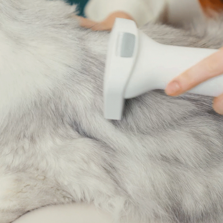 Oneisall LM5 4-in-1 Tierhaarschneider mit Staubsauger