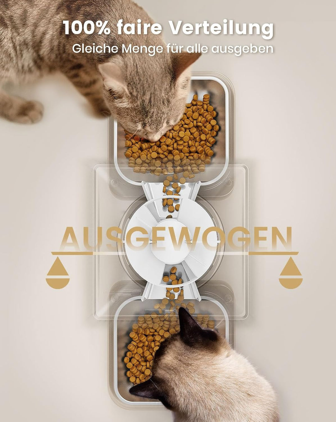 Oneisall 5L Automatischer Katzenfutterautomat für zwei Katzen – Schwarz