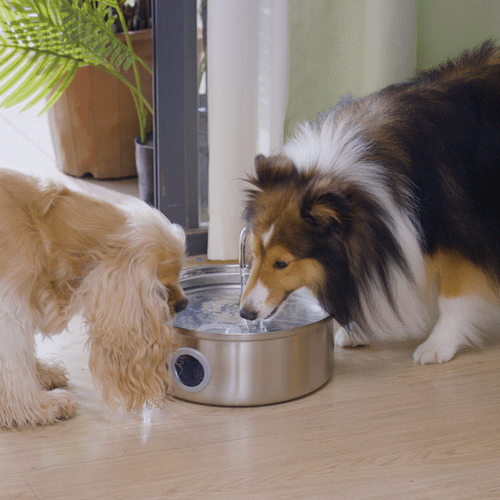 Oneisall 7L Trinkbrunnen mit Sichtfenster und 3 Filtern