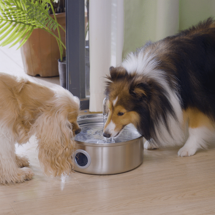 Oneisall 7L Trinkbrunnen mit Sichtfenster und 3 Filtern