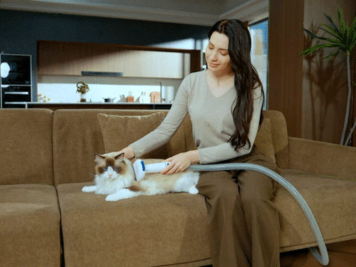 Oneisall Cozy C1 Haustierpflegesauger & -Föhn – Ersatz-Entfilzungsbürste