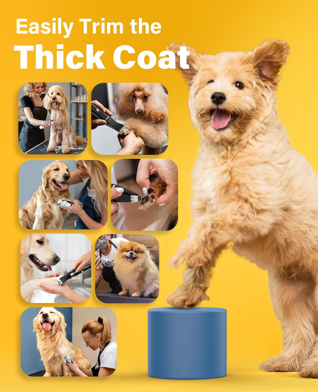 Oneisall 676+P20 Dog Clipper and Paw Trimmer 3-in-1 Set