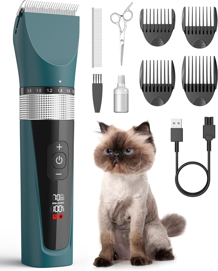 Oneisall YP2 5 Speeds Cat Clipper1