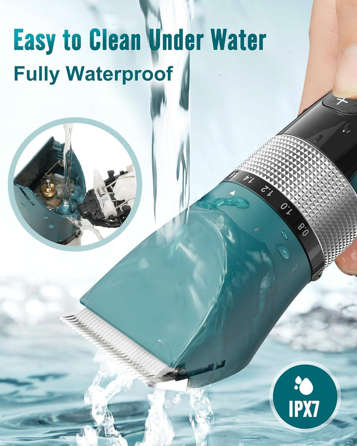 Oneisall YP 5 Speeds Cat Clipper1