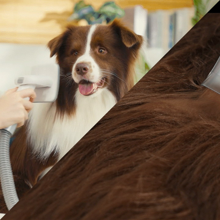 Oneisall LM2 7-in-1 Tierhaarschneider mit Staubsauger