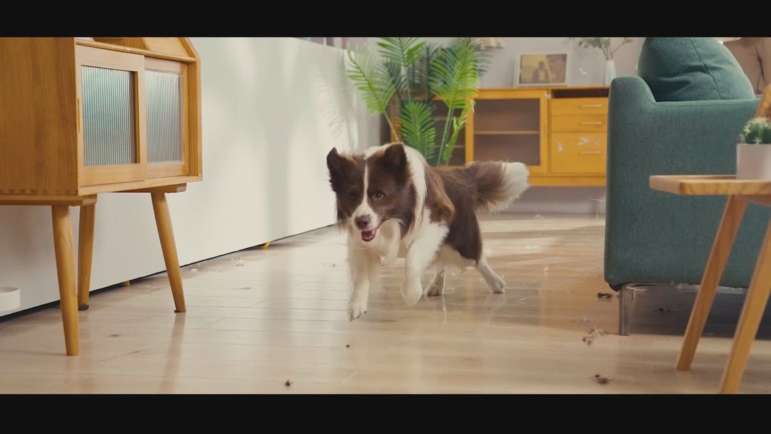 Oneisall LM2 7-in-1 Tierhaarschneider mit Staubsauger